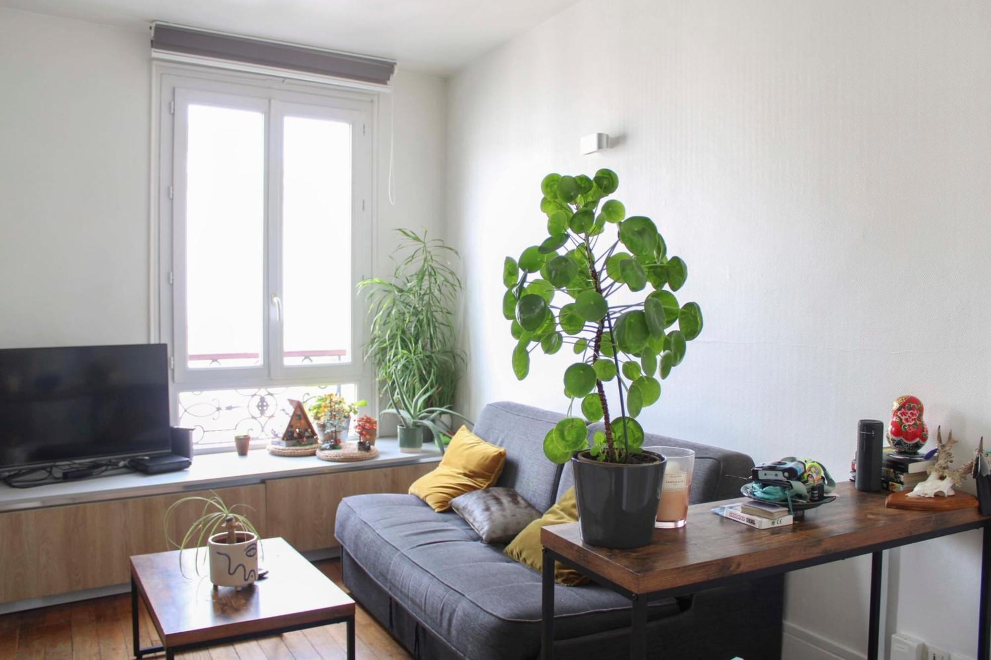Beautiful Close To Montmartre *